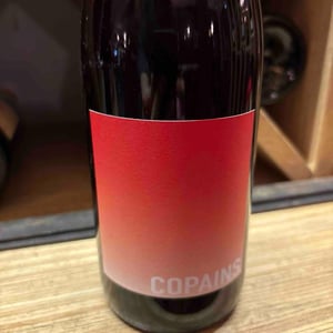 En attendant les copains (rouge) - Domaine du Petit Oratoire - lori-haon