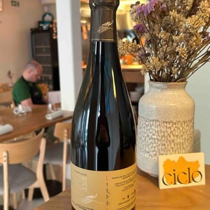 En val du clos - Champagne Bichery - hannah-raphael-piconnet -2018