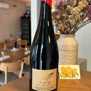 En val ligé - Champagne Bichery - hannah-raphael-piconnet -2022