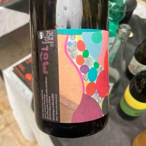 Encarinyades - Còsmic Vinyaters - salvador-batlle-barrabeig