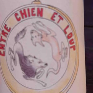 Entre Chien et Loup - Domaine de la Cavalière [TO_INVESTIGATE] - domaine-de-la-cavaliere -2023