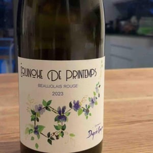 Equinoxe de Printemps - Dupré Goujon - sebastien-dupre-guillaume-goujon -2021