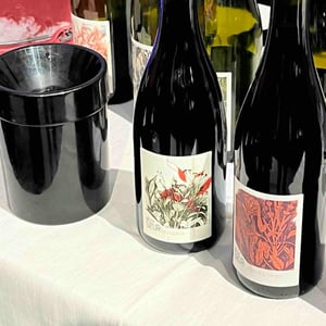 Érogène - Domaine de la Petite Soeur - adrien-de-mello