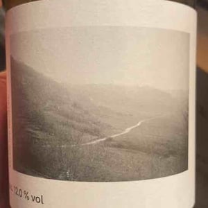 Es lebe der weinberg - Jonas Dostert - jonas-dostert -2021