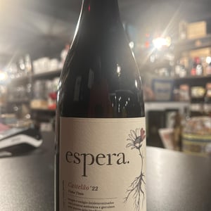 Espera Castelão - Espera Wines - rodrigo-martins