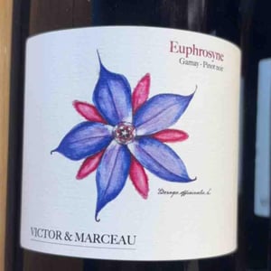 Euphrosyne - Victor Nitsch et Marceau Dumas - victor-nitsch-et-marceau-dumas -2023