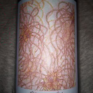 Évohé - salymes - paul-barlet -2024