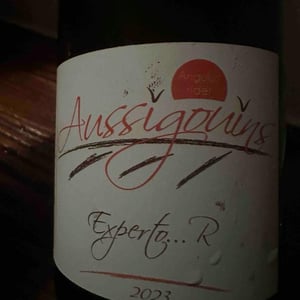 Expecto..R - Dominique Dufour - dominique-dufour