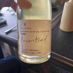 Experiencia de Vendimia Metodo Ancestral - El Grifo - el-grifo-lanzarote -2022