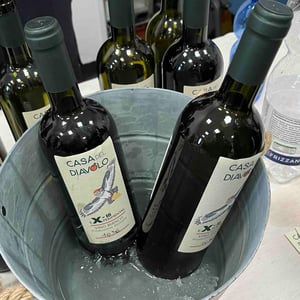 eXperimental - Societa Agricolà Casa Del Diavolo - federica-sala -2018