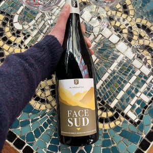 Face sud - Domaine Blard et fils - thomas-blard -2023