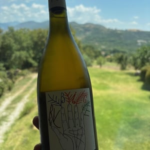 Falanghina Rubice - Ognostro - marco-tinessa