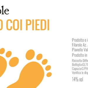 Fatto coi piedi - Filarole - barbara-pulliero-paolo-rusconi -2021