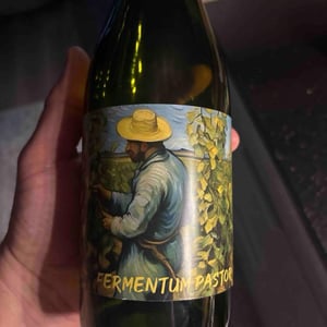 Fermentum Pastor - Vinařství Petr Koráb - petr-korab