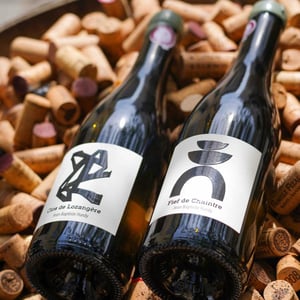 Fief de Chaintre - Jean-Baptiste Hardy - jean-baptiste-hardy-8o