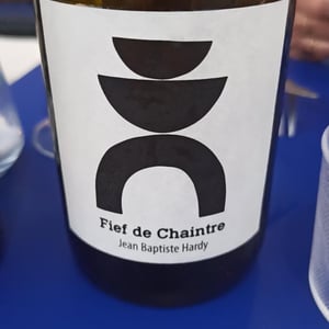 Fief de Chaintre - Jean-Baptiste Hardy - Jean-Baptiste Hardy