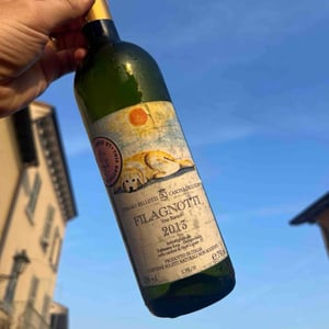 Filagnotti - Cascina degli Ulivi - Ilaria Bellotti