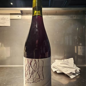 FILS DE VI - Movimiento Thunderwines - antonio-lopo-and-sergi-figueras -2022