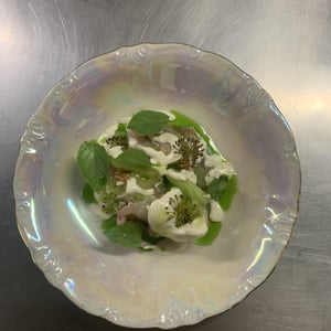 Fish Crudo And Ado Blanco - Minot - 929043