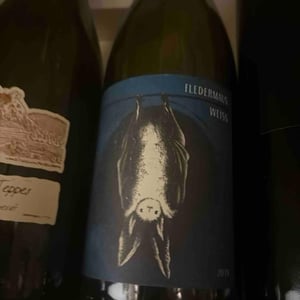 Fledermaus (red) - 2 Naturkinder - melanie-drese-michael-volker