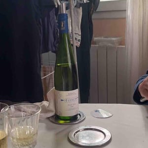 Flesh - Milan Nestarec - milan-nestarec -2019