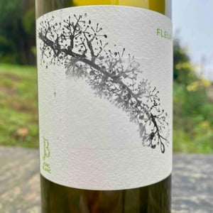 Fleur - Le Jonc Blanc - isabelle-carles-franck-pascal