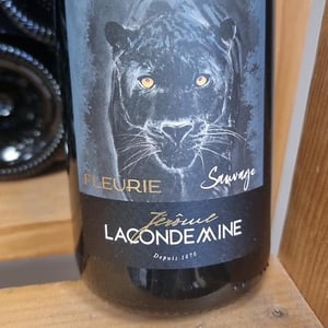 Fleurie - Sauvage - Jérôme Lacondemine - jerome-lacondemine -2023