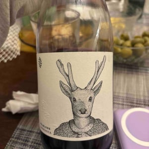 Folklore carbonica - Castel pujol - christian-rojas -2025