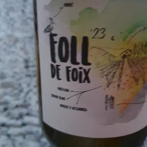 Foll de Foix - Lavinaventura Vins - emi-gomez-ventura