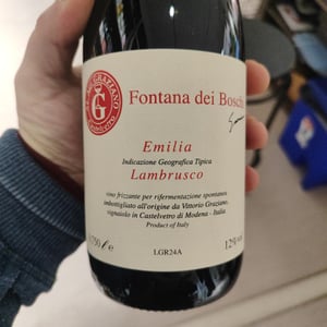 Lambrusco Emilia Fontana dei Boschi - Fontana dei Boschi - vittorio-graziano -2022