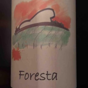 Foresta - La Vinicola di Antonio Gismondi - anabel-antonio-gismondi -2021