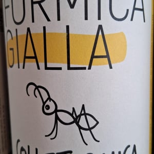 Formica Gialla - Colleformica - sergio-paulo-bombetti