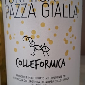 Formica Pazza Gialla - Colleformica - sergio-paulo-bombetti