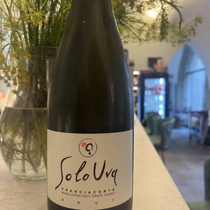 Franciacorta Solo Uva - Società Agricola Solo Uva - arcari-e-danesi