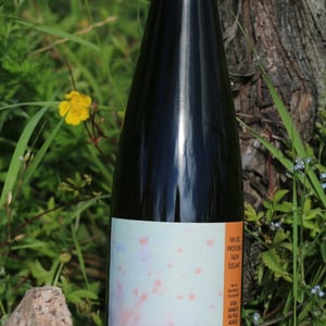 Frankstein orange Grand cru - Florian & Mathilde Beck-Hartweg - florian-mathilde-beck-hartweg -2023