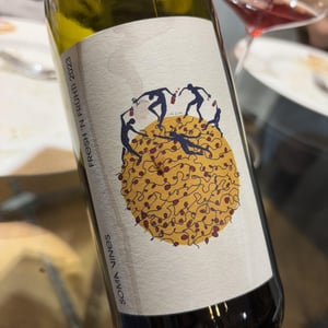 Fresh and Fruhti - Soma Vines - daisy-merrick-antoine-lucchesi -2023