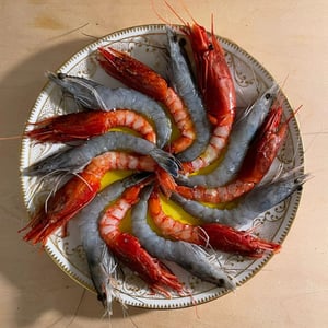 Gamberi - Lato Mare - 1307421