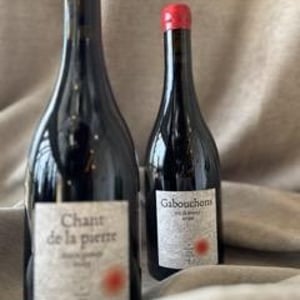 Gabochons - Terra Vita Vinum (ex Domaine Richou) - benedicte-petit-luc-briand-christophe-aubineau -2021