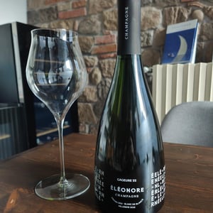 Gageure 22 - Champagne Eleonore - didier-dzieciuck -2012