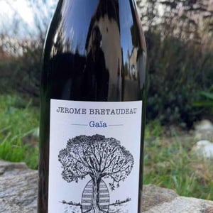 Gaïa - Domaine de Bellevue - Jérôme Bretaudeau
