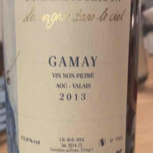 Gamaret - Domaine de Beudon - marion-granges-fayss -2013