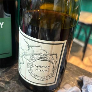 Gamay Aunis - Jean-Christophe Garnier - Jean-Christophe Garnier