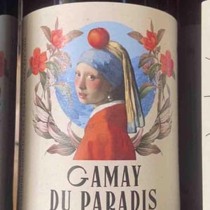 Gamay du Paradis - La Sauvagère - nicolas-lili-desdouit -2023