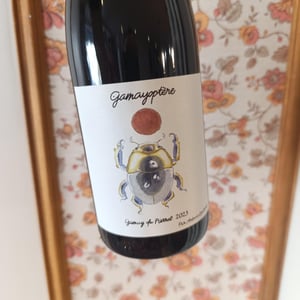 Gamayoptère - Antoine Lienhardt - antoine-lienhardt