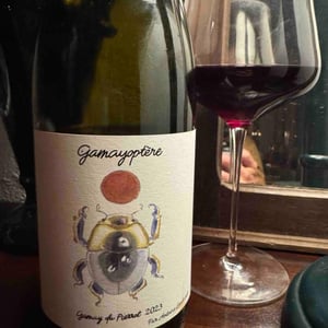 Gamayoptère - Antoine Lienhardt - Antoine Lienhardt