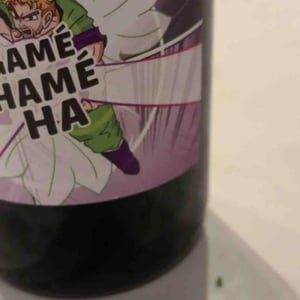 Gamé Hamé Ha - Domaine des 2 Fauves - laura-soldan-charles-henri-quantin -2022