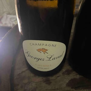 Garennes Extra Brut - Champagne Georges Laval - mathilde-et-vincent-laval