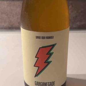 Garganegade - Davide Xodo Vignaiolo - davide-xodo