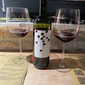 Gattorosso - Sagona - daniele-corrotti -2022