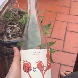 Gavernera - Spain - bodegas-campo-viejo -2023